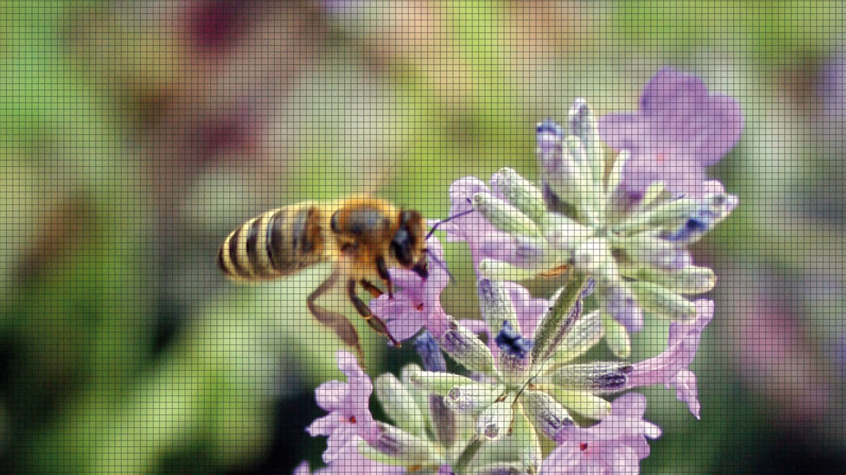 ALUKON Insektenschutz